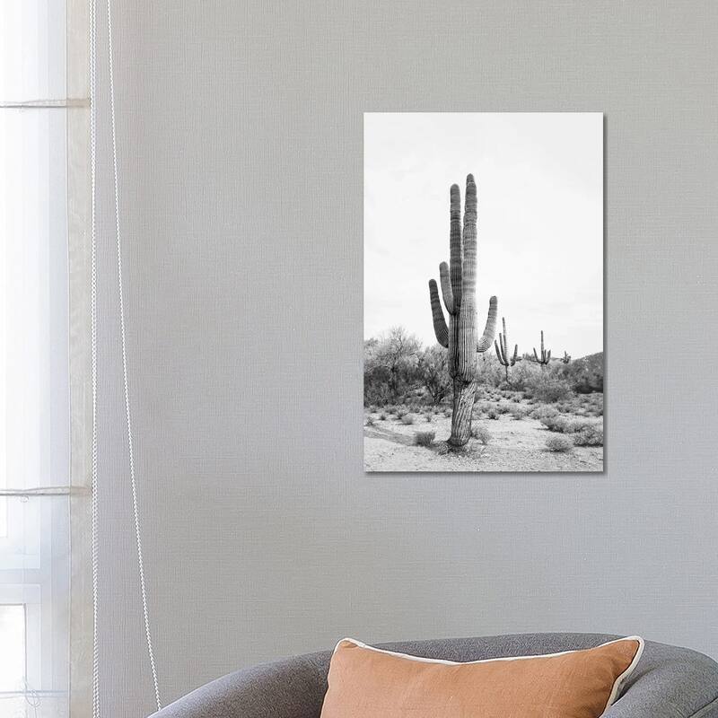 iCanvas "Desert Cactus In Black & White" by Sisi & Seb Canvas Print - 26x18x1.5