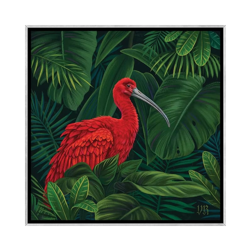 iCanvas "Scarlet Ibis" by Vasilisa Romanenko Framed
