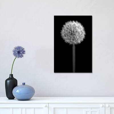 iCanvas "B&W Dandelion On Black Portrait" by Tom Quartermaine Canvas Print