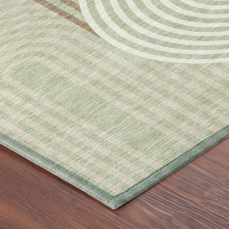 Machine Washable Indoor/ Outdoor Modern Basehor Chantille Rug