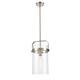 Option Clear / Satin Nickel