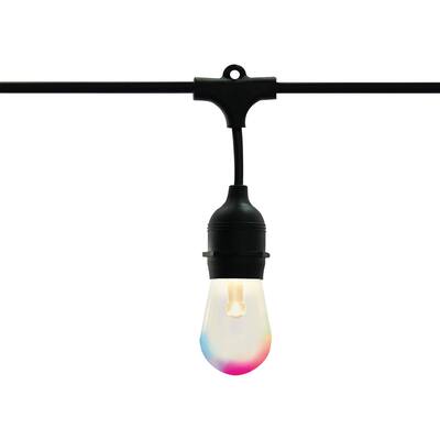 10 Watt 24' LED String Light Starfish IOT 120 Volts 260 Lumens RGB Color / Warm White