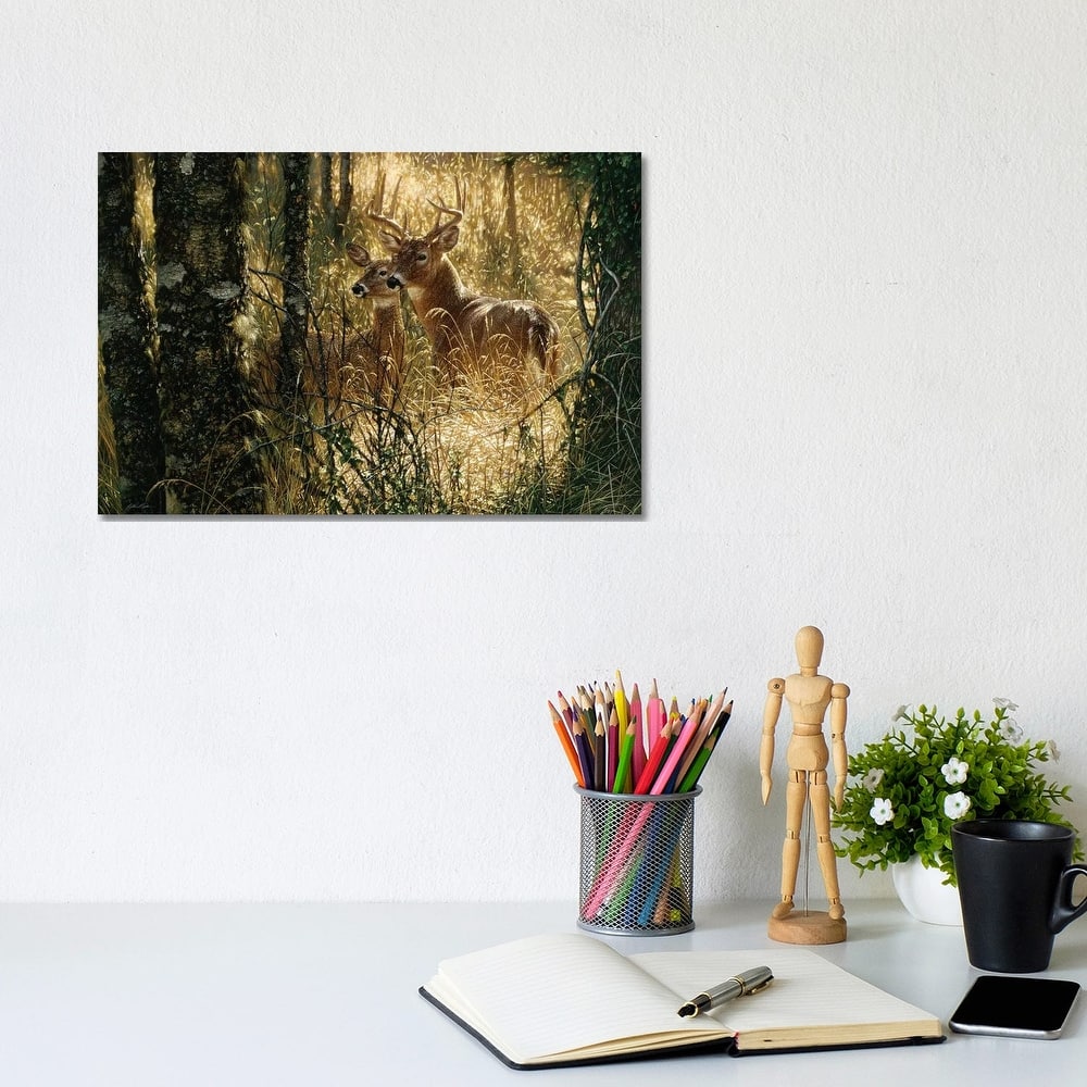 iCanvas "A Golden Moment - Whitetail Deer, Horizontal" by Collin Bogle Canvas Print