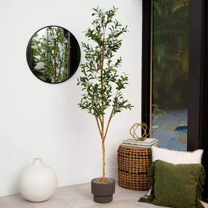 6' Artificial Olive Tree with Natural Trunk - Green
