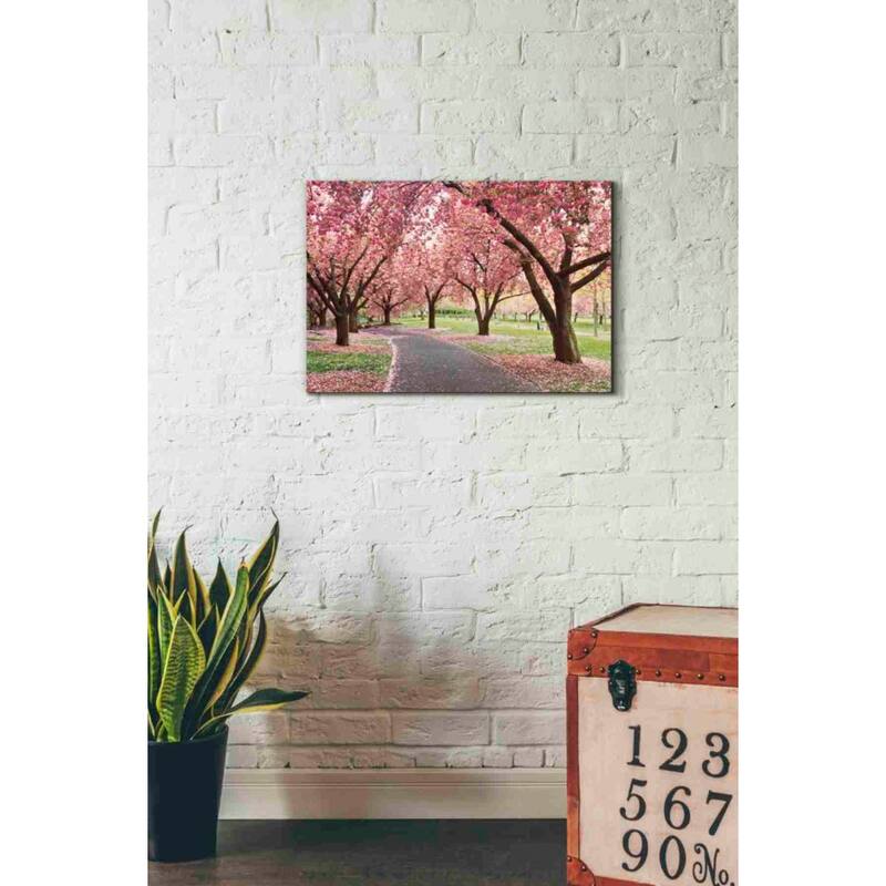 Epic Graffiti 'Cherry Parade' by Katherine Gendreau, Canvas Wall Art