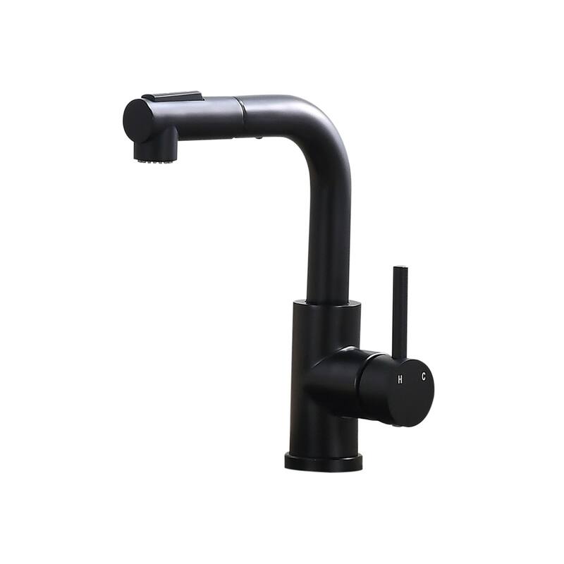Kitchen Faucet with Pull Down Sprayer