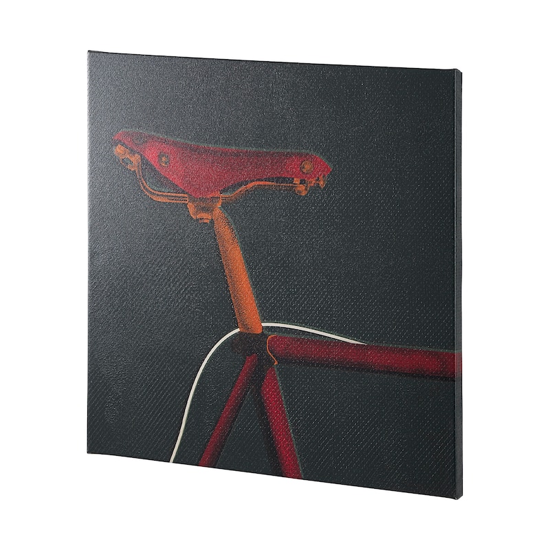 Bike Saddle I (44 x 44) Canvas Art Print