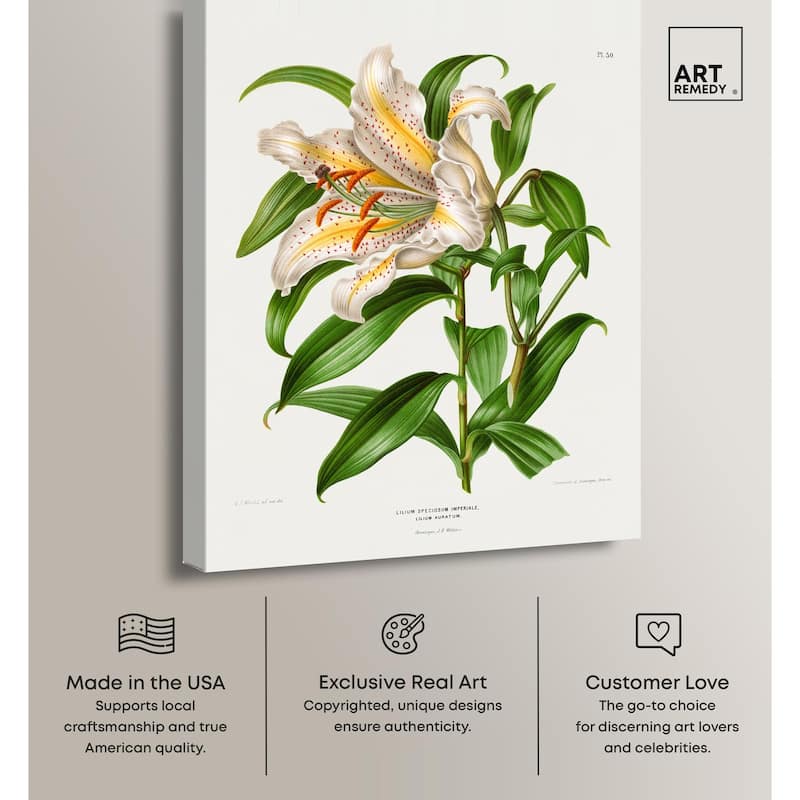 Lilium Speciosum Imperiale Canvas by Art Remedy, Gallery Wrapped