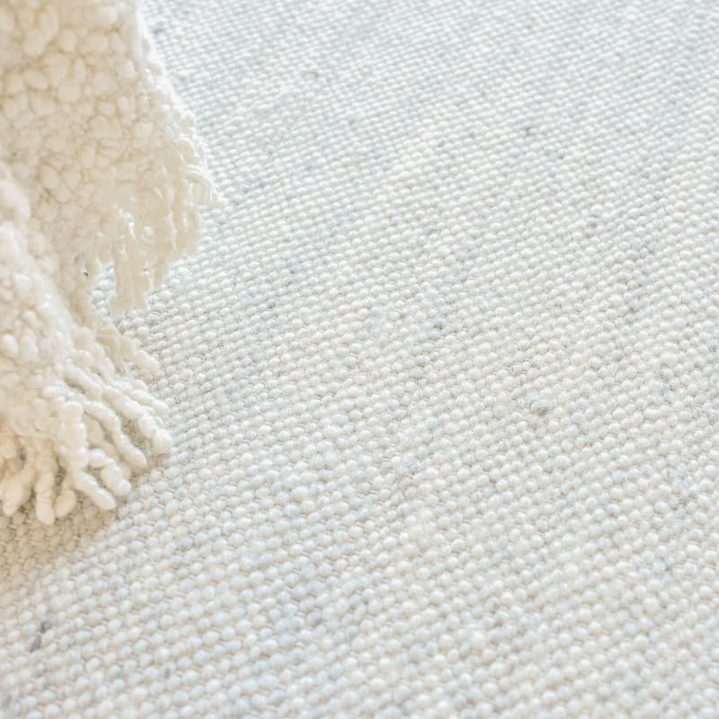 EXQUISITE RUGS Tocayo Flatweave New Zealand Wool Ivory/Light Blue Area Rug.