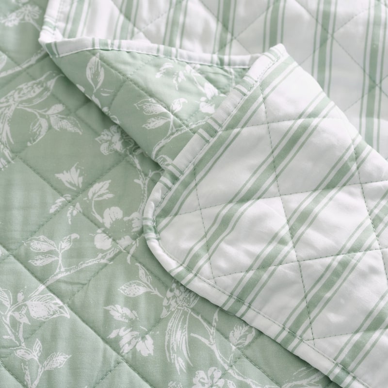 Martha Stewart French Bird Floral Green Cotton Reversible Quilt Set