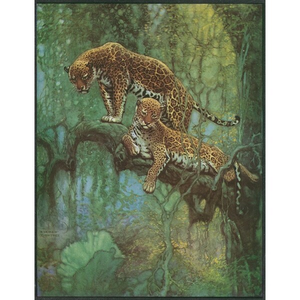 Nature Magazine Two Leopards In A Tree Vintage Magazine Cover Art Print Multiple Sizes Available