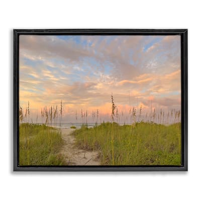 Stupell Serene Coastal Path Grasses Framed Floater Canvas Wall Art Design By Mary Lou Johnson