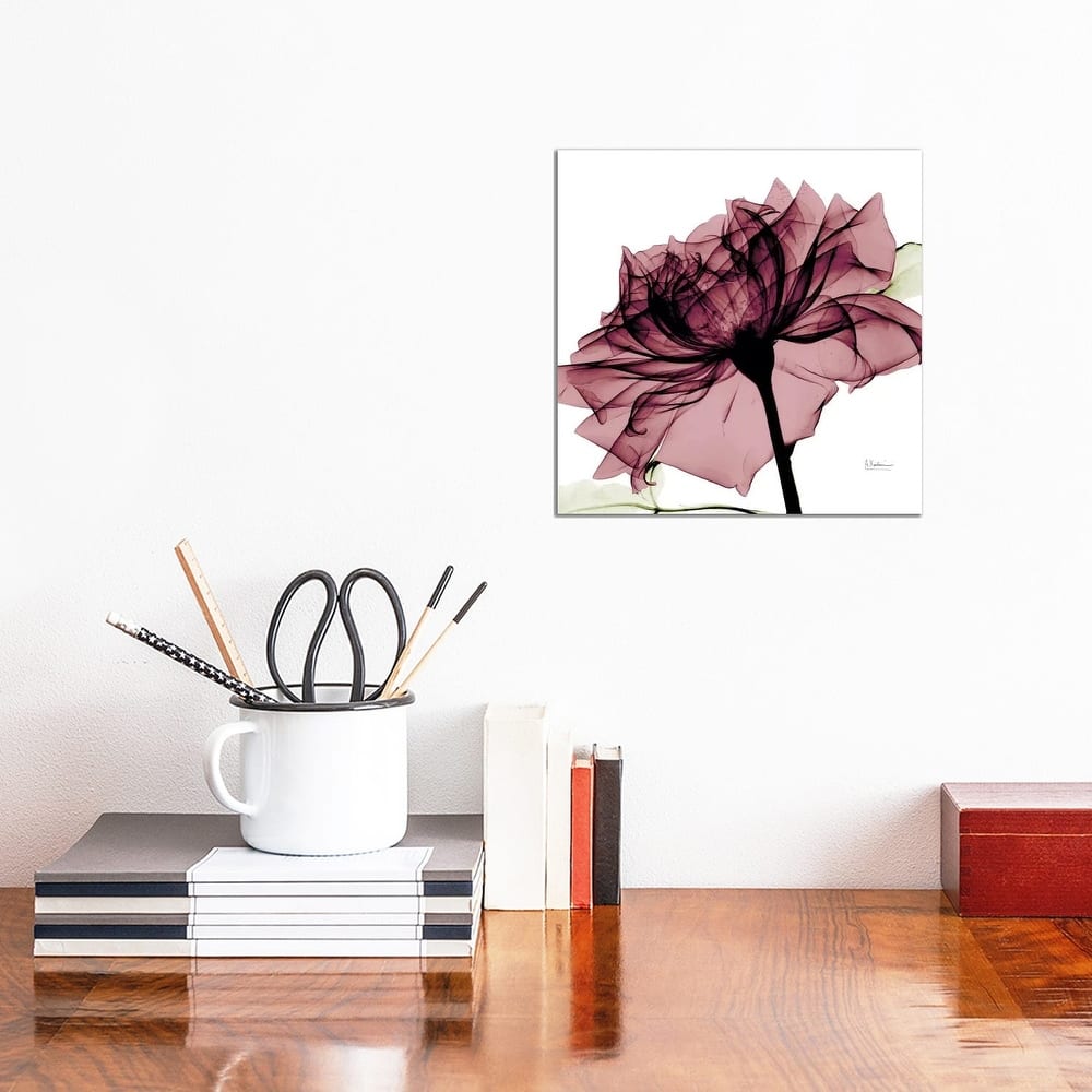 iCanvas "Chianti Rose I" by Albert Koetsier Canvas Print