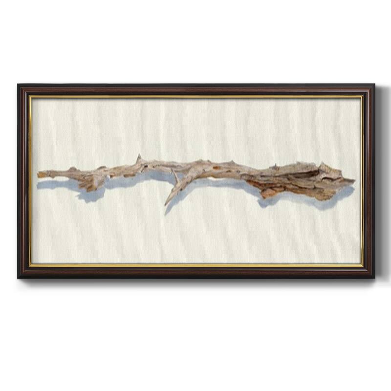 Driftwood Study I Premium Framed Canvas- Ready to Hang