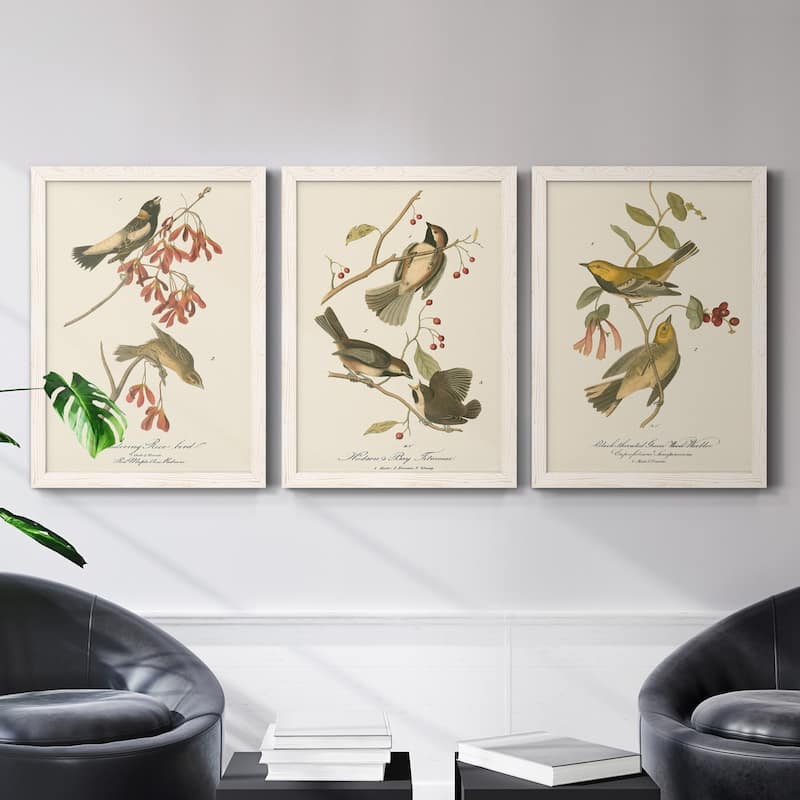 Wandering Rice Bird-Premium Framed Canvas - Ready to Hang - Multi-Color