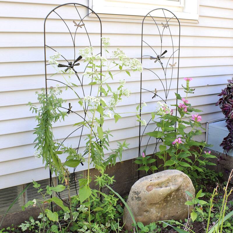 Sunnydaze 55.75" Dragonfly Delight Garden Trellis for Climbing Plants - 12.5" x 55.75"