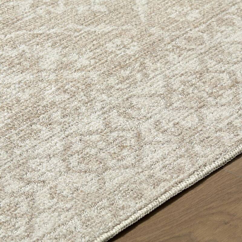 Nabela Noor Home x Livabliss Aram Traditional Area Rug