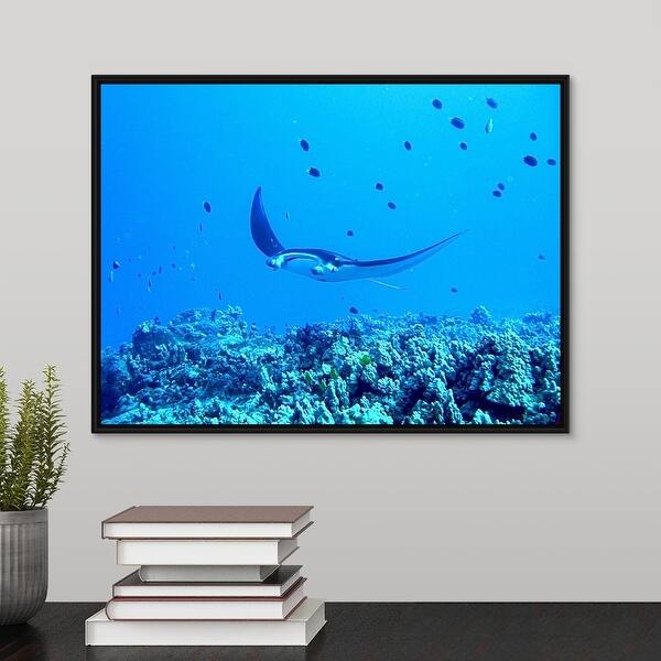 Shop Manta Ray Underwater In Blue Ocean Black Float Frame Canvas Art Free Shipping Today Overstock 25494828
