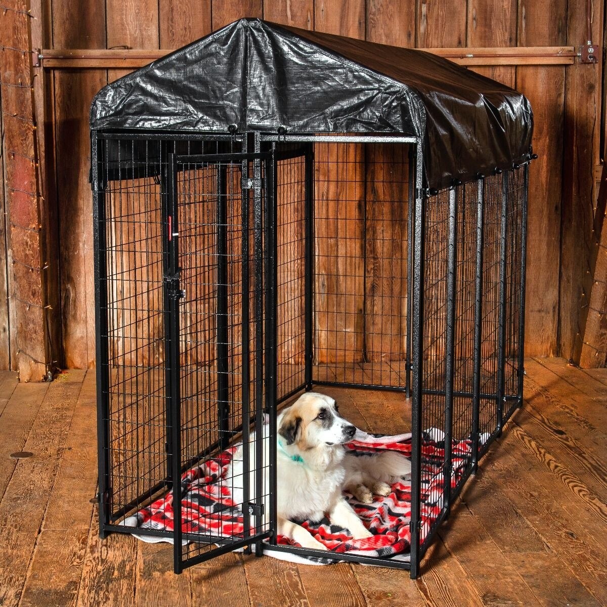 lucky dog 4x4 kennel