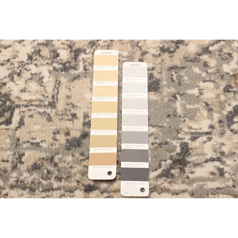 ECARPETGALLERY Machine Woven Priya Grey Area Rug