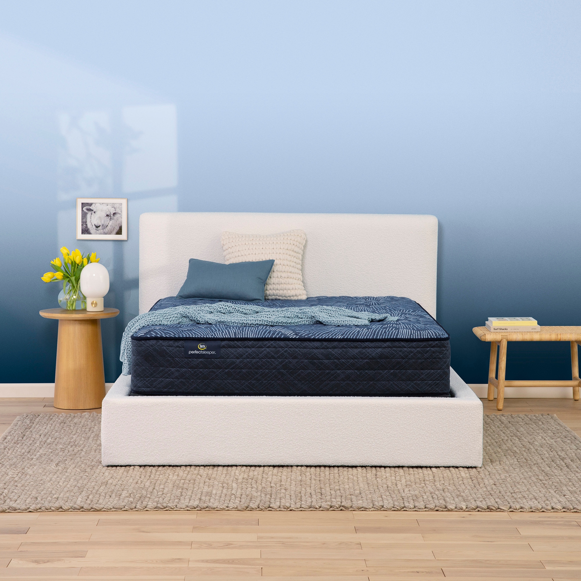 Extra firm shop queen mattress sale