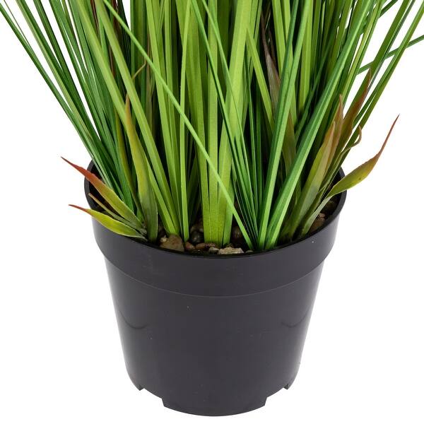 aloe vera barbadensis plant Aloe Vera 5 Gallon Edible Thick Aloe Barbadensis Miller Plant Succulen –  NNplant main image 0