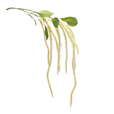 Artificial Amaranthus Stem Spray - 53.25" - Beige - Set of 4