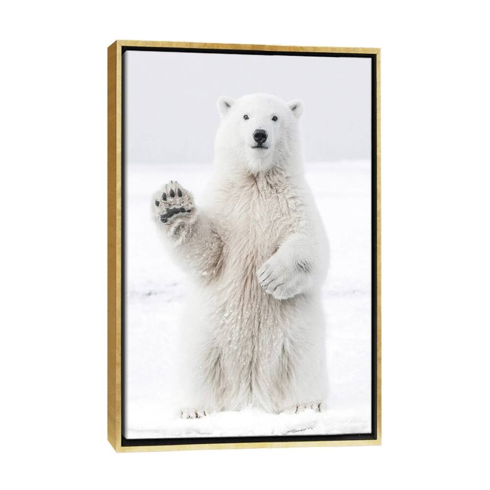 iCanvas "Polar Bear I" by Karen Mandau Framed Canvas Print