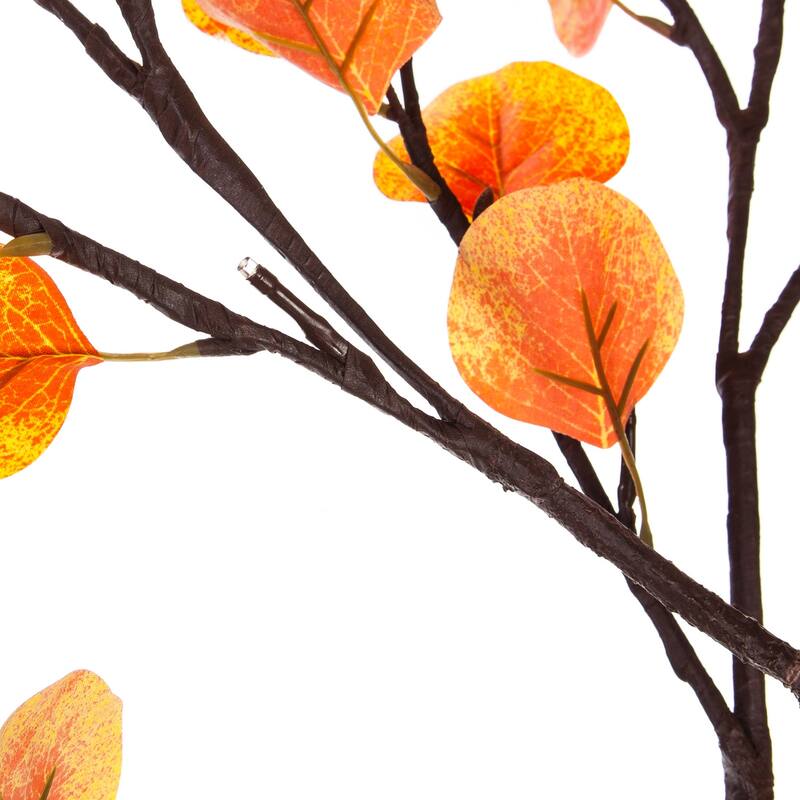 Fall Eucalyptus Tree 6'