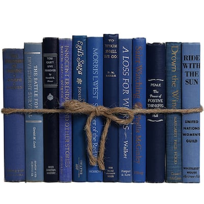 Books Blue Decorative Accessories: Vintage Denim ColorPak