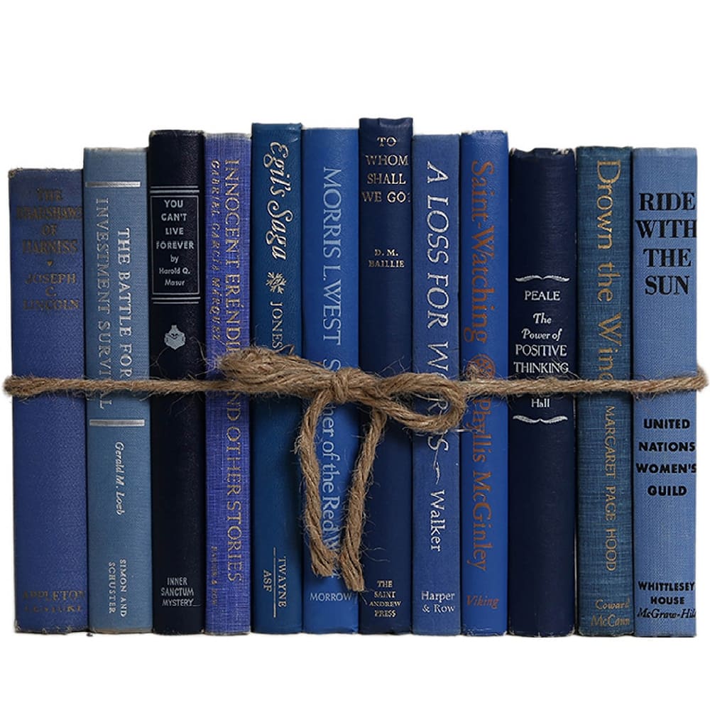 Books Blue Decorative Accessories: Vintage Denim ColorPak