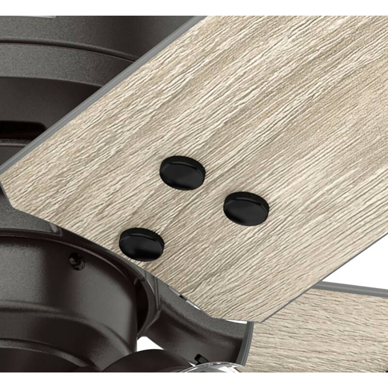 Hunter 44" Sencillo Ceiling Fan with LED Light Kit and Pull Chain