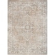 preview thumbnail 61 of 88, Nourison Astra Machine Washable Distressed Area Rug