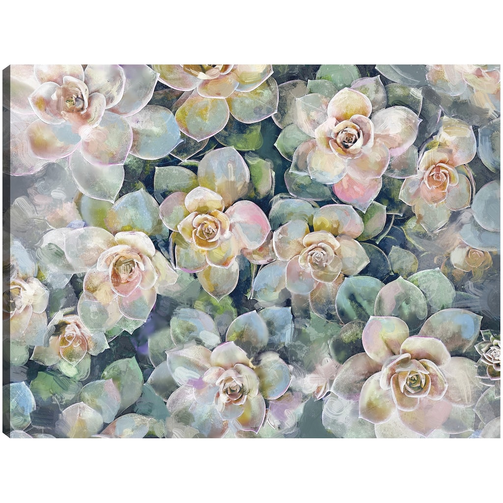 Oasis By Studio Arts Canvas Art Print