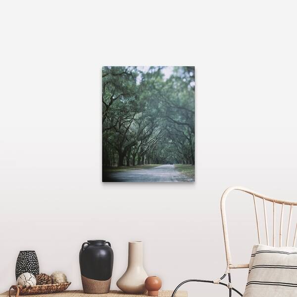Shop Trees Along A Road Savannah Georgia Canvas Wall Art Overstock 16885961