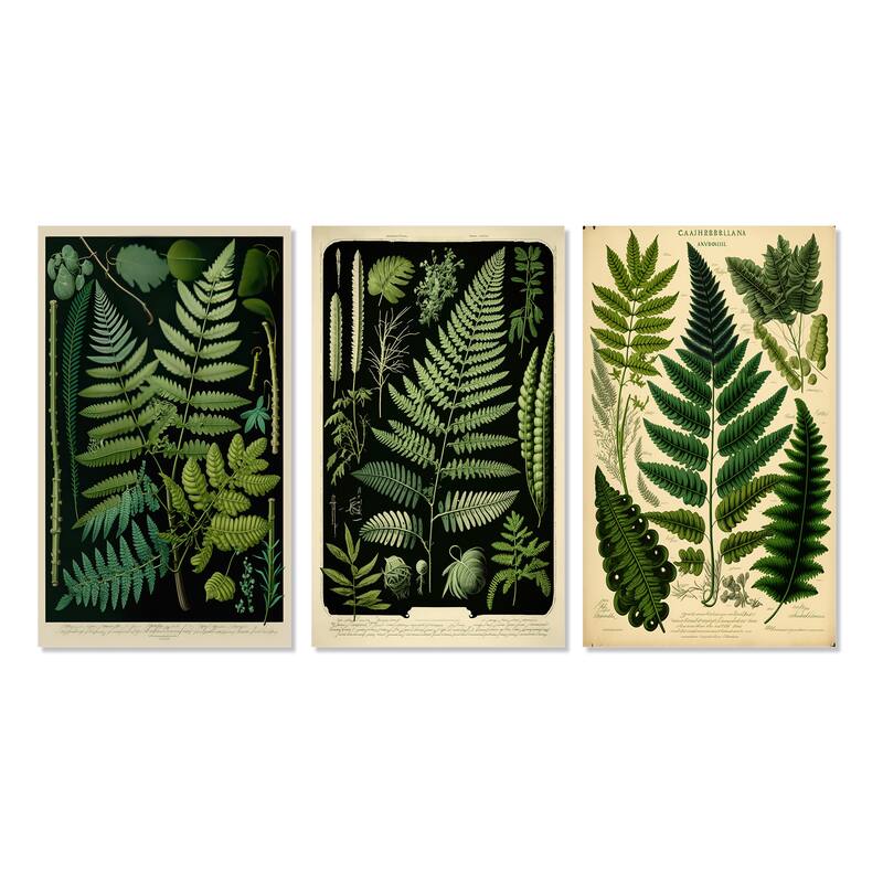 Designart "Fern On Retro Victorian Chart I" Floral Ferns Wall Art Set Of 3 - Modern Gallery Wall Set For Home Decor