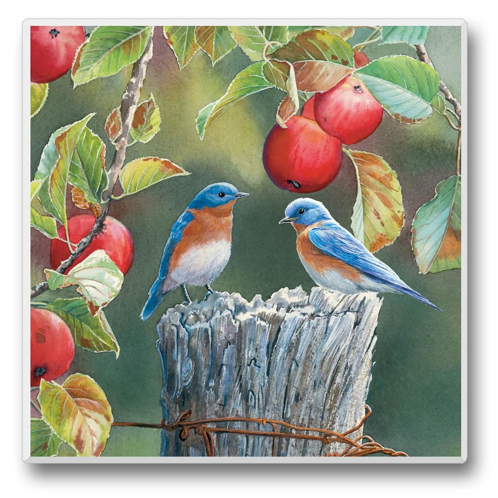 Counterart Absorbent Stone Coasters - Take Flight 10 - Set of 4 - 4x4x1.297