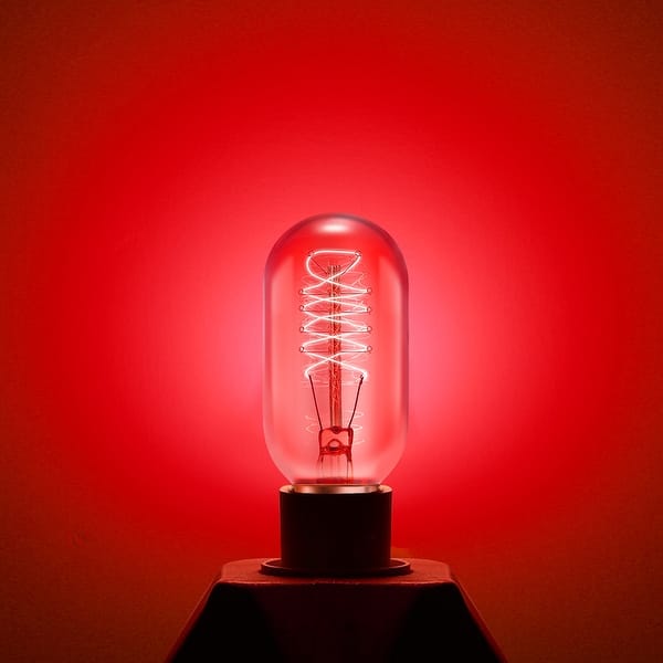 YANSUN 40-Watt T45 E26 Edison Incandescent Light Bulb (4-Pack) YANSUN 40-Watt T45 E26 Edison Incandescent Light Bulb (4-Pack)