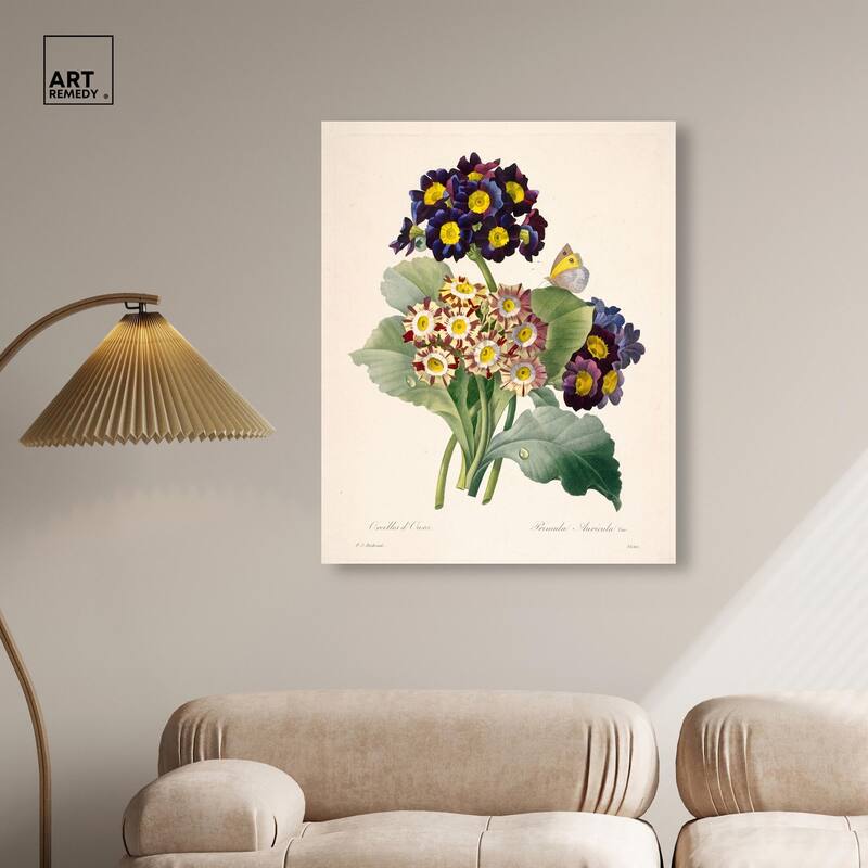 Auricula Varieties Canvas by Art Remedy, Gallery Wrapped