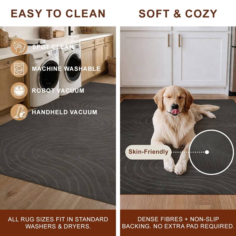 ECARPETGALLERY Somos Modern Machine Washable Area Rug