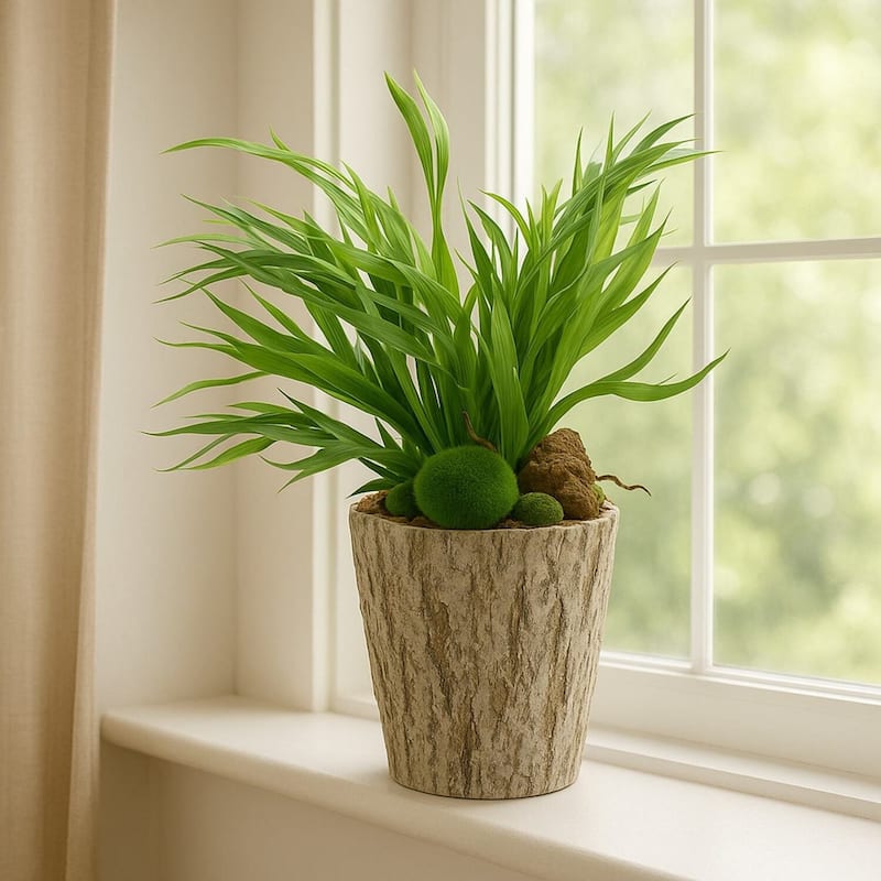 HomeStock Mini Staghorn Fern in Weathered Oak Look Cement Planter - Unique Faux Fern for Natural Vibes - 21
