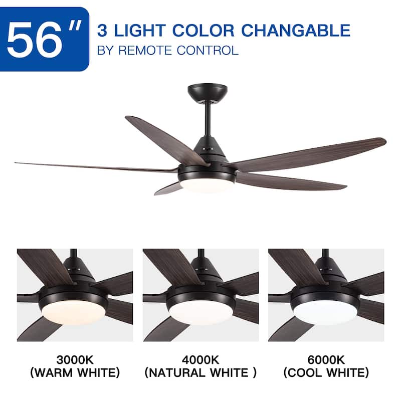 56" Ceiling Fan Light with Remote Control