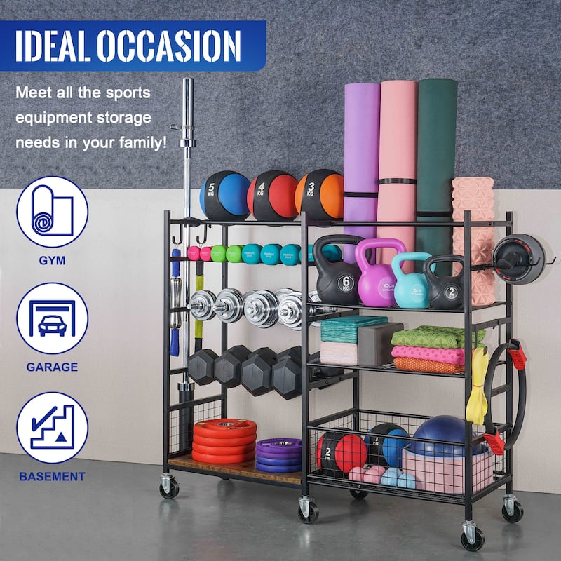 4-Tier Sports Equipment Organizer, Dumbbell and Ball Storage Rack