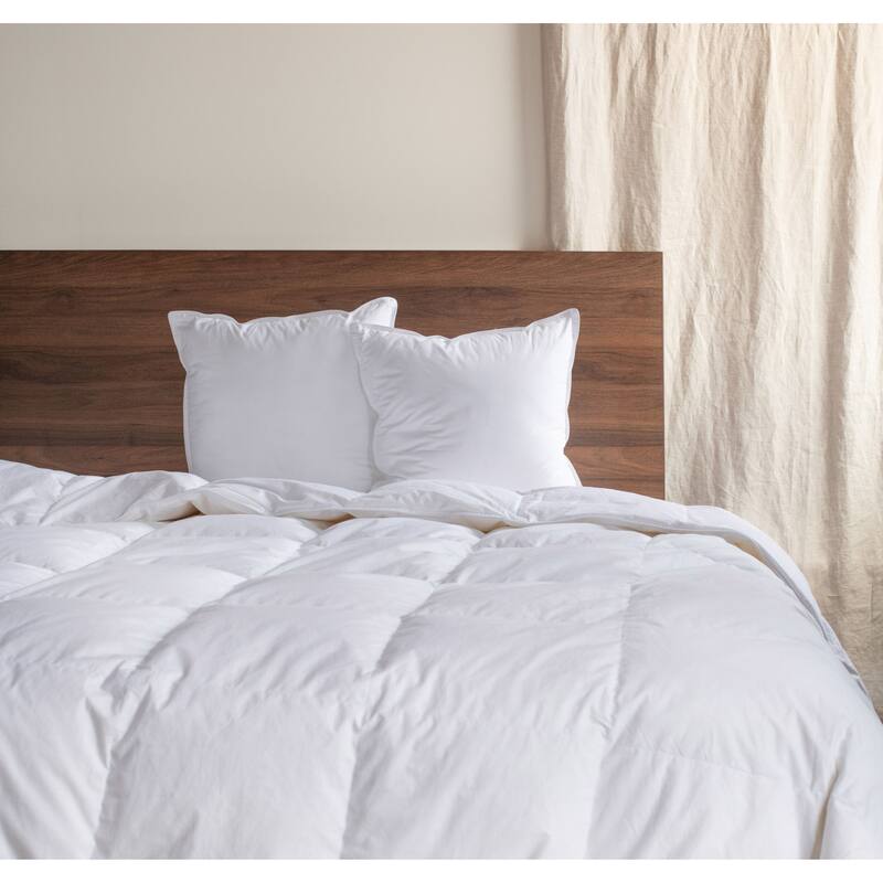2 Pack Down Alternative Throw Pillow Insert by BOKSER HOME - Pillow Inserts - 18" x 18" - Set of 2