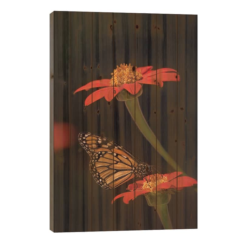 Butterfly Portrait X Print On Wood by PHBurchett - Multi-Color - 40x26x1.5