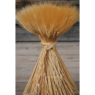 Extra large Wheat Sheave 32 oz (2 lb)， 160-240 stems Blond Wheat ...