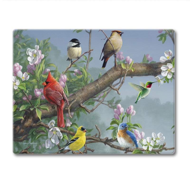 Counterart Glass Cutting Board Counter Saver 10" x 8" - Beautiful Songbirds - 10x8x.069