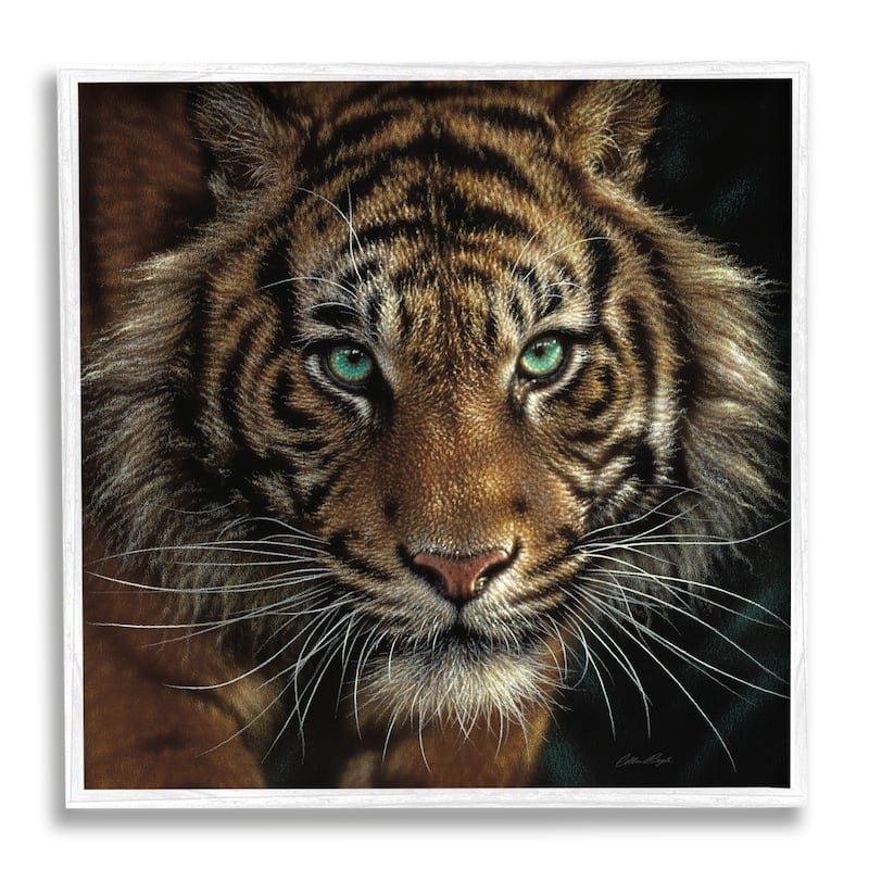 Stupell Fierce Wild Tiger Crouching Green Eyes Detailed Portrait Framed Wall Art - Black - 17 x 17 - White