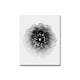 preview thumbnail 3 of 1, "X-Ray" Framed Print Wall Art by Alex Zhao