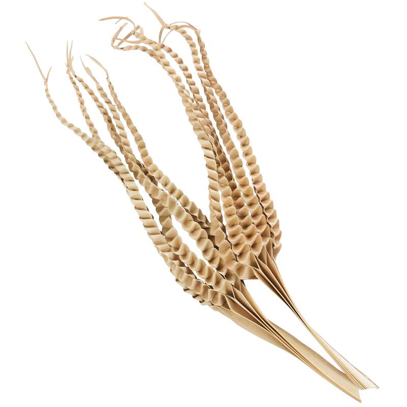 Beige Dried Plant Handmade Tall Five Finger Palm Leaf Home Decor Natural Foliage